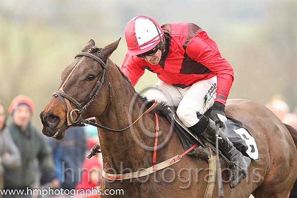 03rd THE HARD HAT and B O'Neill ( 8 , BROWN,red cross belts; red, plain sleeves; red  white qtd cap ) Trainer: D.M. Christie,, Owner : Syndicate Sporting Pointers