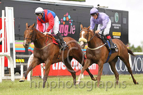08 Aladdins Cave & G F Carroll - 8th (6, royal blue, red chevron) & 09 Paddy The Celeb & S Foley - 9th (4, mauve) - CU2D8053-13