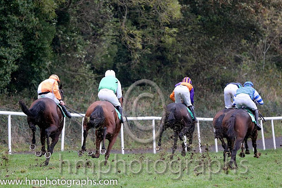 04 Hoouse Limit and C D maxwell - - 04th (5 ,Orange and purple halves ) Trainer - J Larkin