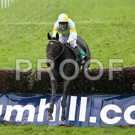 Mighty Bob , 8th - Jockey Andrew J McNamara - FT8E5436-e