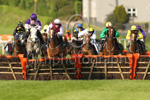 01st The Grey Lad and G.B. Noonan(7) (4 ,pink, purple diamond ), Trainer:Paul W. Flynn , Owner:Claire Kilmartin
