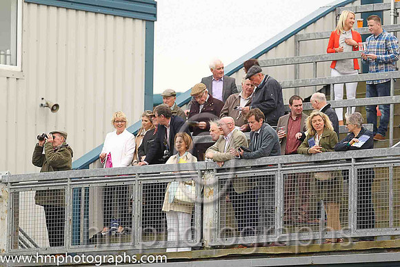 Spectators at Down Royal
