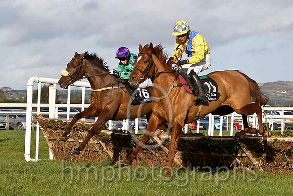 Nodelay & B J Cooper - 9th (16,emerald green, purple spots ) &Knockcroghery & M A Enright - 8th (11,yellow, royal blue sash ) -  FT8E7996-eb