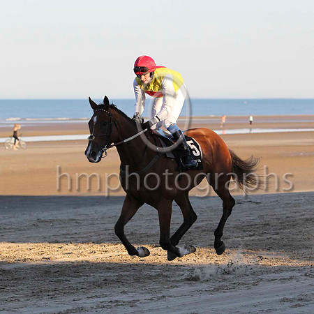 03 Wild China & Mr M Fahey 0 3rd (5,yellow, red disc ) - FT8E1088-17