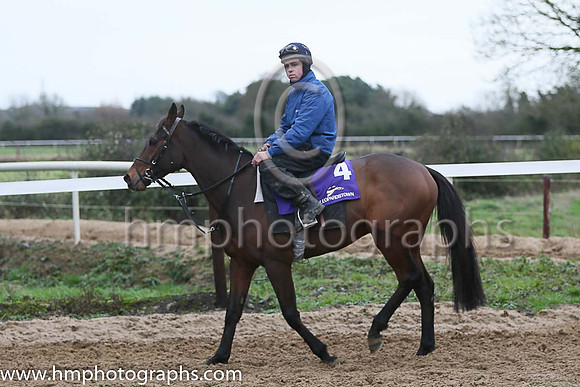 Cause of Causes and Jack kennedy at the Leopardstown  Horse Racing Ireland launch of the Christmas Festival at Gordon Elliot's yard