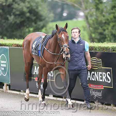 08th Helen's Armada ( 4 , maroon, yellow sash ) and C.D. Hayes - Trainer : Adrian McGuinness - Owner : Ms. Hazel McGuinness