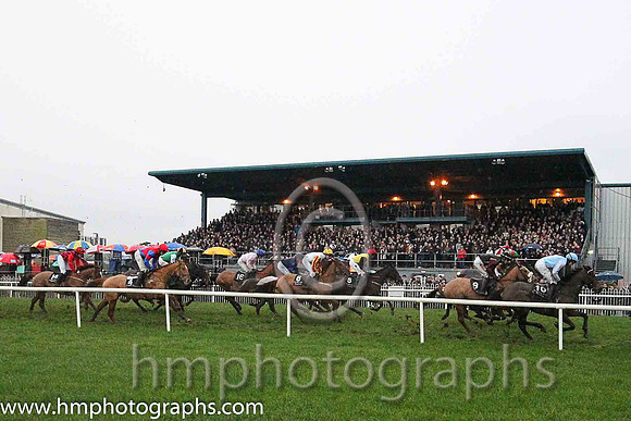 Racing at Down Royal on Boxing Day 2015