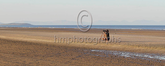 Laytown Races - FT8E1109-29