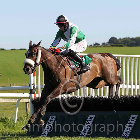 04 Tullydonnell Flyer - 4th (7, emerald green & white quartered) - FT8E5931-31