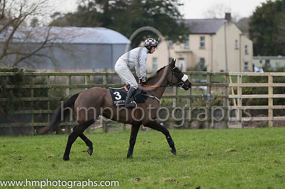 03 Mount Gunnery (GB) ( 3 , grey ) and D.J. Mullins - Trainer : P.A.Fahy - Owner : Clipper Logistics Group Ltd