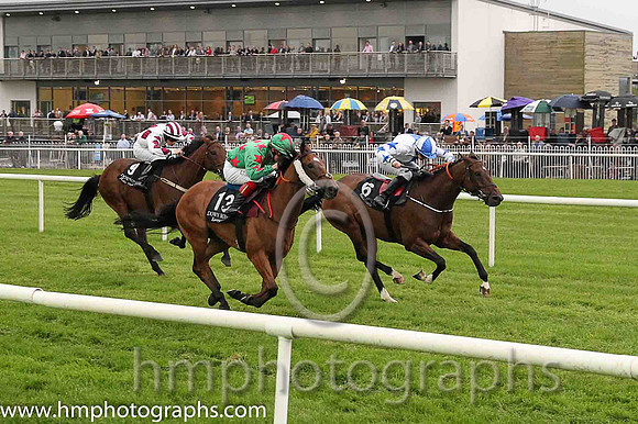 02nd Ondamoura ( 13 , emerald green, white stars ) and R.D. Dolan (4) - Trainer : T.Hogan - Owner : T.J. Doran