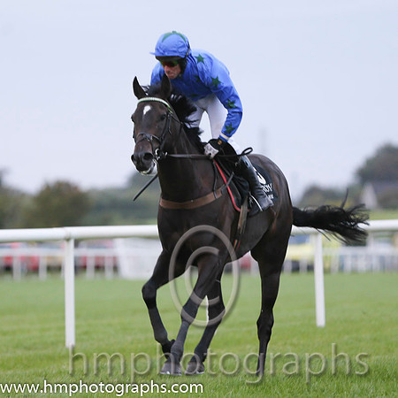 08 Rocking Bishop and Mr A H Wells - - 08th (5 ,blue, black stars ) "