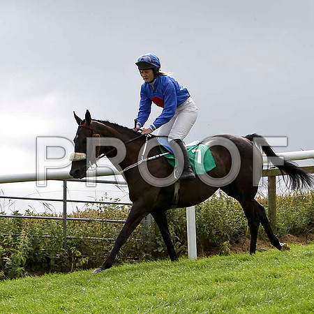 Lea Lady - 6th, Jockey Miss C L Fahey   - FT8E3867-e