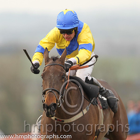 02nd RAVENHILL and M J O'Hare ( 12 , YELLOW,royal blue sash; yellow,royal blue armlet sleeves; royal blue cap,yellow star ) Trainer: George Stewart,, Owner : Stephanie Metcalfe