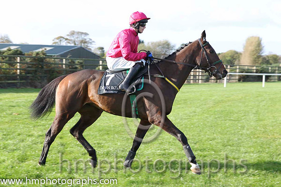 09 Didntitellya & P Townend - 9th (7, cerise ) - CU2D8807-5