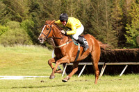2013/06/01st - Race 6 The Fermanagh Harriers Hunt Point to Point at Necarne
