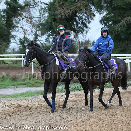 Don Cossask and Bryan Cooper and Roi Du Mee and Simon McGonagle at the Leopardstown  Horse Racing Ireland launch of the Christmas Festival at Gordon Elliot's yard