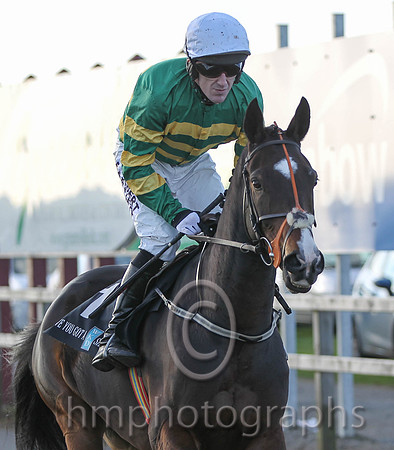 01 Jezki & A P McCoy - winner (1,emerald green and orange hooped ) - FT8E0012-2