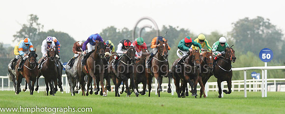 01 Baraweez and C O'Conoghue - - 01st (12 ,orange, dark blue disc ) Trainer - B Ellison