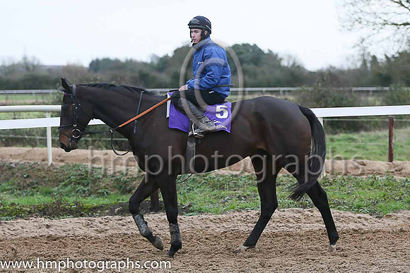 TYcoon Prince and Shane McCann at the Leopardstown  Horse Racing Ireland launch of the Christmas Festival at Gordon Elliot's yard