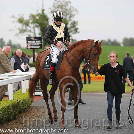 06th Gossip Central ( 2 , black, yellow cross sashes ) and P.J. Smullen - Trainer : A.L.T.Moore - Owner : John Patrick Byrne/Mrs.A.L.T. Moore/G. King