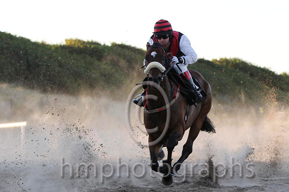 08 Academic Accolade & Mr D L Queally - 8th (1,black , red chevron ) - FT8E1151-54