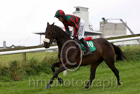 Leafy Arbour , Jockey P W Flood - Pulled Up - CU2D2234-e