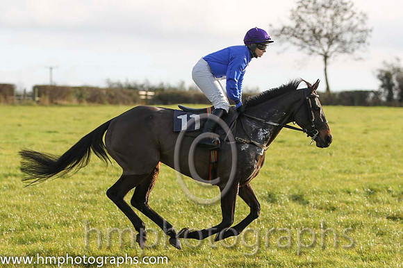07 Gibbstown & Ms L O'Neill - 7th (11,royal blue, white panel ) - FT8E0714-99