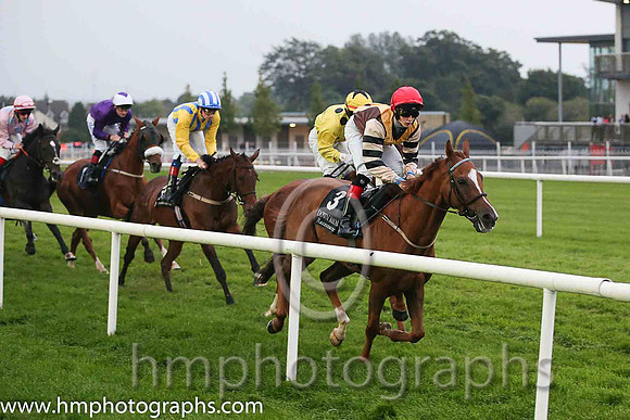 05th Asian Wing ( 3 , brown, yellow cross sashes ) and R.P. Downey (5) - Trainer : John James Feane - Owner : D.A. Lynch