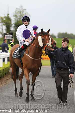 09th Our Manekineko (GB) ( 9 , white, purple disc ) and P.J. Smullen - Trainer : J.A. Nash - Owner : Purple Haze Partnership