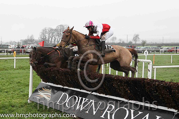 09th Archview Sunshine ( 15 , red and white qtrd ) and N. Gault (7) - Trainer : Mrs Holly McGahan - Owner : Mrs Holly McGahan