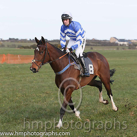 01st OSCAR MOR and B O'Neill ( 8 , ROYAL BLUE,white chevrons; royal blue,white chevrons sleeves; white cap ) Trainer: Colin Bowe,, Owner : Sean Wickham