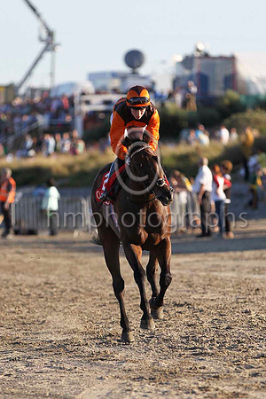 01 Bangalore Diamond & C T Keane - winner (2, brown and orange chevrons) - FT8E0985-7