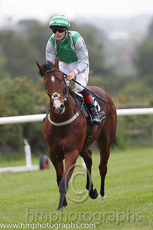 01 Primo Uomo & P J Smullen - winner (5, emerald green, grey braces )FT8E7188-6