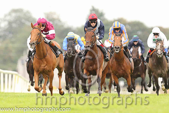 01st Flirt ( 3 , maroon, white star ) and G.P. Halpin (5) - Trainer : David Wachman - Owner : Gigginstown House Stud