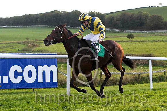 Three Monkeys - Jockey Mr P W Mullins - 2nd - FT8E4496-e