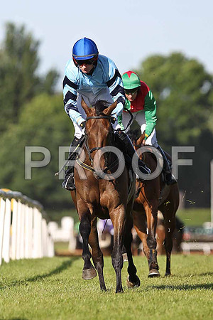 Only Heather Jockey S G McDermott 2nd - FT8E0936-e