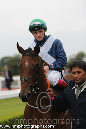 09th The Chazz (GB) ( 9 , dark blue, white cross sashes ) and C.D. Hayes - Trainer : A. Oliver - Owner : Mrs S.M.L Oliver