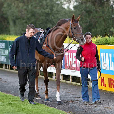 Jazz Girl & G F Carroll - 4th (2, Blue and green) - - FT8E6297-e