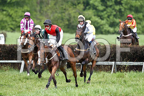 Fifth Race Div 1 - Phoenix AZ (36) 5th, Rider N McParlan, Hunters Frontier (27) 7th, Rider B F Brabazon, Rhialass (3) Fell, Rider D A Fitzsimmons, Cranfield Babe (18) PU, Rider J J Gault - FT8E0377-e
