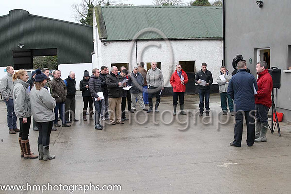 No More Heroes and John Winston at the Leopardstown  Horse Racing Ireland launch of the Christmas Festival at Gordon Elliot's yard
