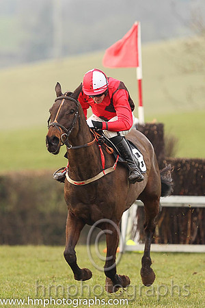 03rd THE HARD HAT and B O'Neill ( 8 , BROWN,red cross belts; red, plain sleeves; red  white qtd cap ) Trainer: D.M. Christie,, Owner : Syndicate Sporting Pointers