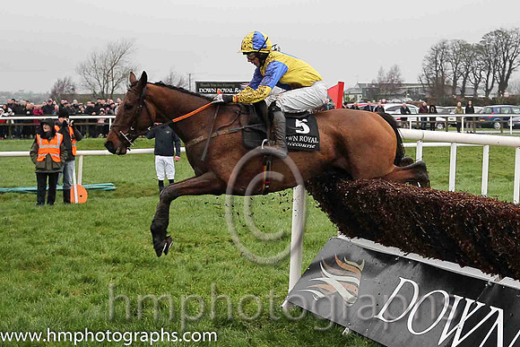04th Some Drama ( 5 , yellow, royal blue disc ) and C.D. Maxwell (3) - Trainer : Dermot Anthony McLoughlin - Owner : Mrs Anne McDonnell