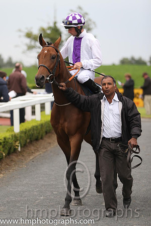 02nd Twistsandturns ( 5 , beige, maroon sash ) and D.M. Grant - Trainer : Patrick J.Flynn - Owner : Mrs B. Cooney