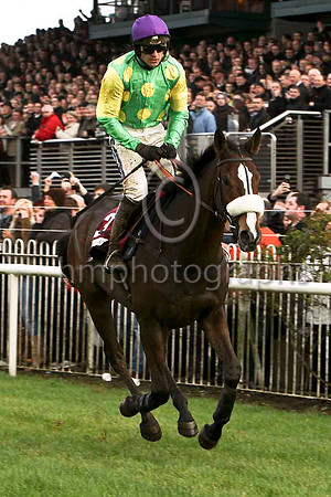 Kauto Star , Jockey Ruby Walsh - Winner - CU2D1120-e2
