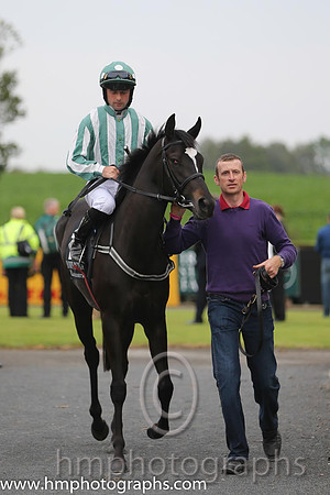 03rd Roc Of Gold ( 12 , dark green and white stripes ) and R.P. Cleary - Trainer : Emmet Mullins - Owner : Mrs. Sandra McCarthy
