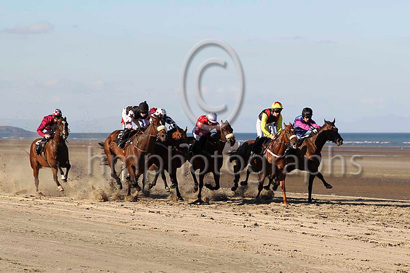 04 Strait of Zanzibar & Mr P W Mullins - 4th (1,royal blue and black chevrons ) - CU2D0762-17