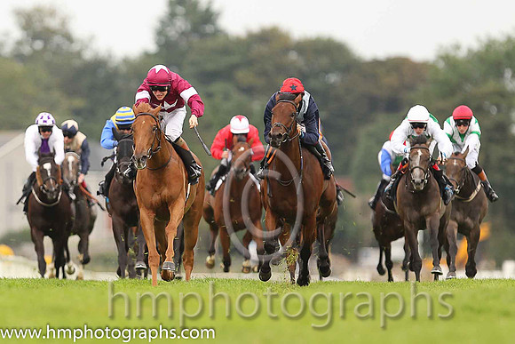 01st Flirt ( 3 , maroon, white star ) and G.P. Halpin (5) - Trainer : David Wachman - Owner : Gigginstown House Stud