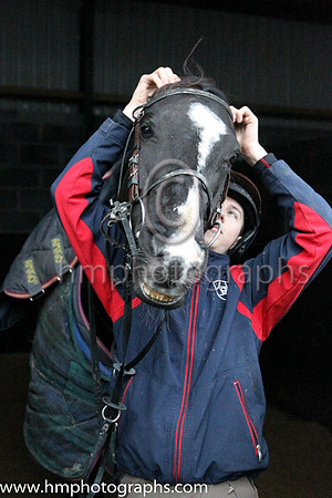 Don Cossack and Bryon Cooper at the Leopardstown  Horse Racing Ireland launch of the Christmas Festival at Gordon Elliot's yard