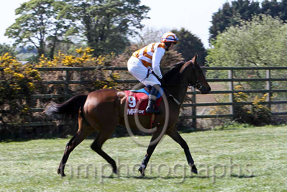 strandfield Bay 10th, Jockey P D Kennedy - FT8E2140-e